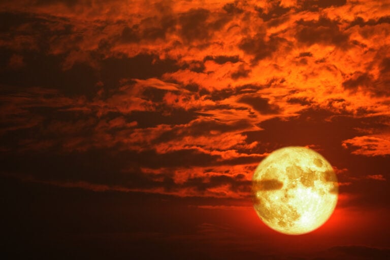 Ritual del Eclipse de Luna Llena del 19 Noviembre 2021