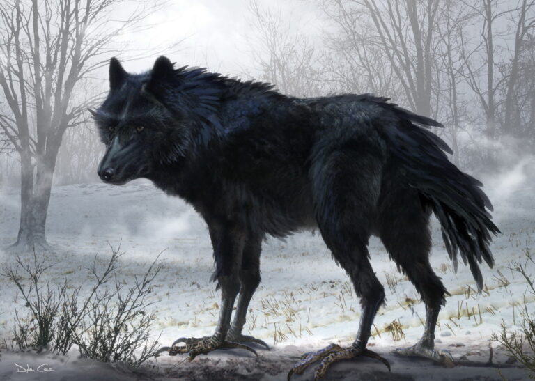 Significado Espiritual del Lobo Negro