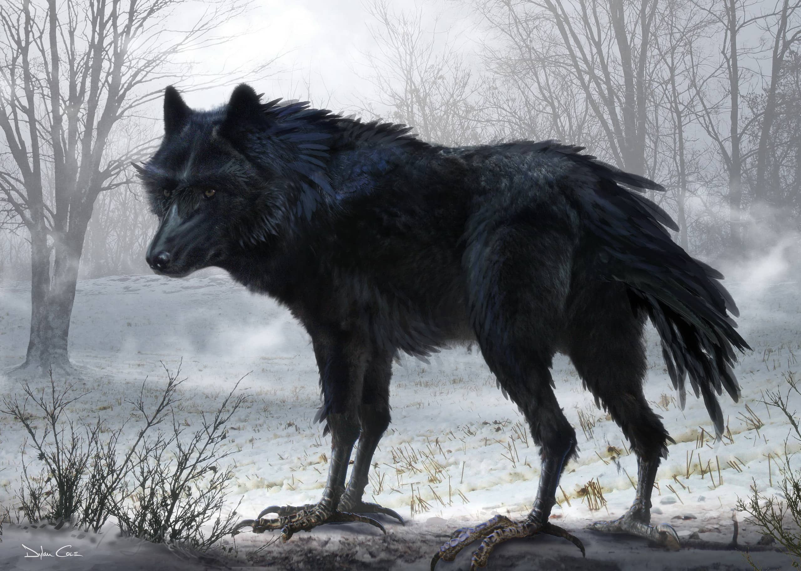 Significado Espiritual del Lobo Negro | Soy Espiritual