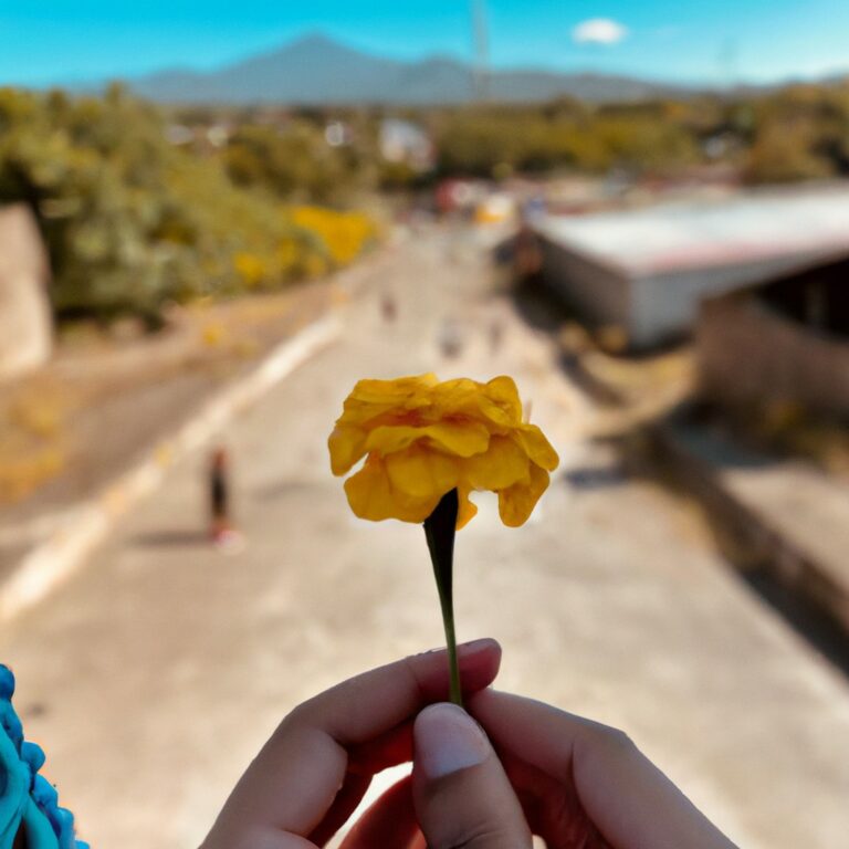 El significado espiritual detrás de las flores amarillas