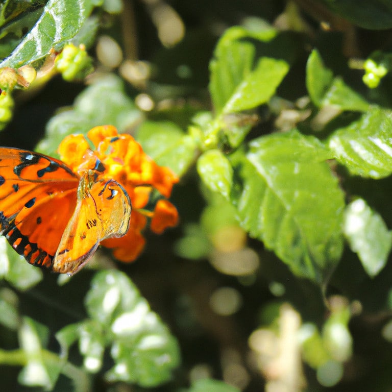 El Sorprendente Significado Espiritual de la Mariposa Naranja: Descubre el Mensaje Oculto tras sus Alas Vibrantes