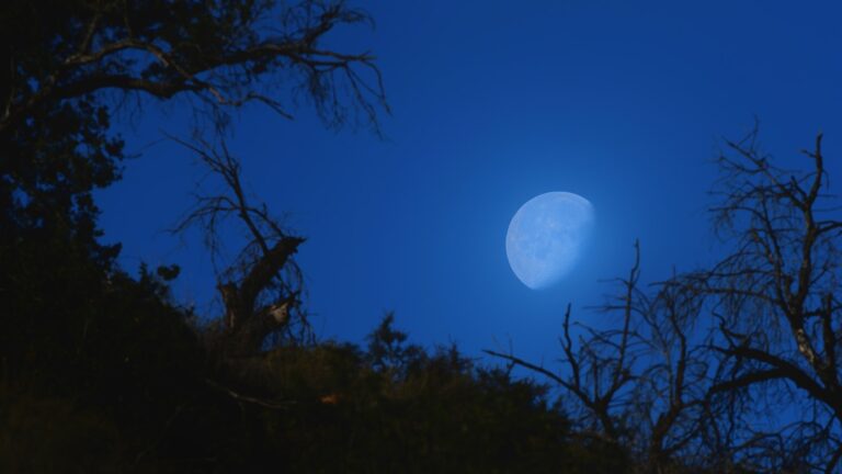 Luna Azul: Desvelando el Poderoso Significado Espiritual tras este Fascinante Fenómeno Celestial