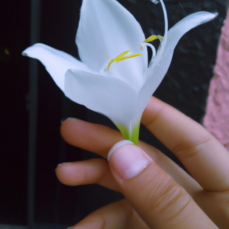 El regalo de una flor blanca: Descubre el profundo significado espiritual detrás de este gesto