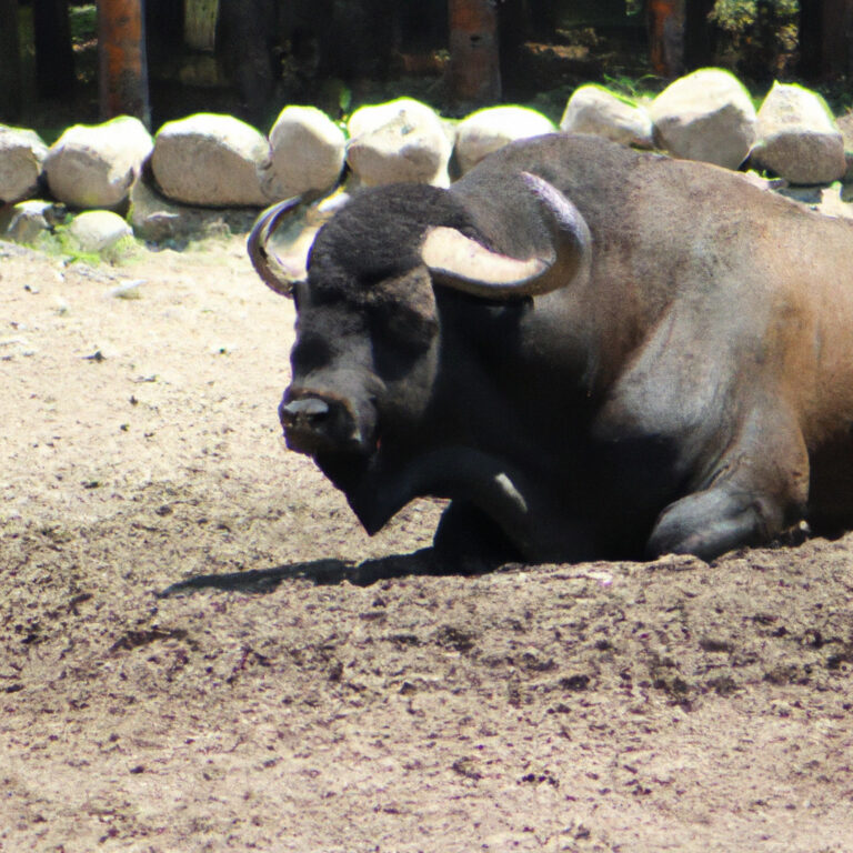 El Majestuoso Búfalo: Descubre el misterioso simbolismo de este Animal de Poder y cómo potenciar tu vida