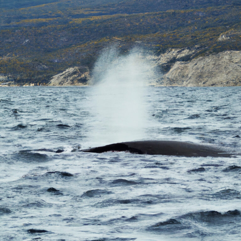 El simbolismo de las ballenas: Mensajes poderosos de los gigantes del mar como animales de poder