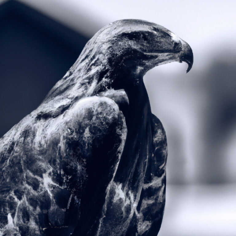 El simbolismo del águila: descubre el poder y significado de este animal de poder.