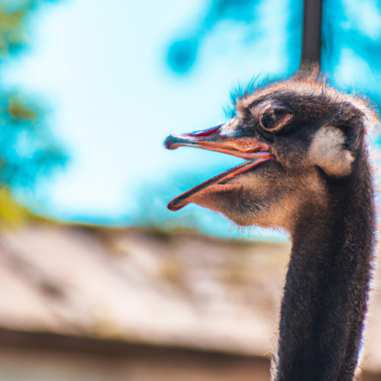 Descubre el poderoso simbolismo del avestruz como animal de poder