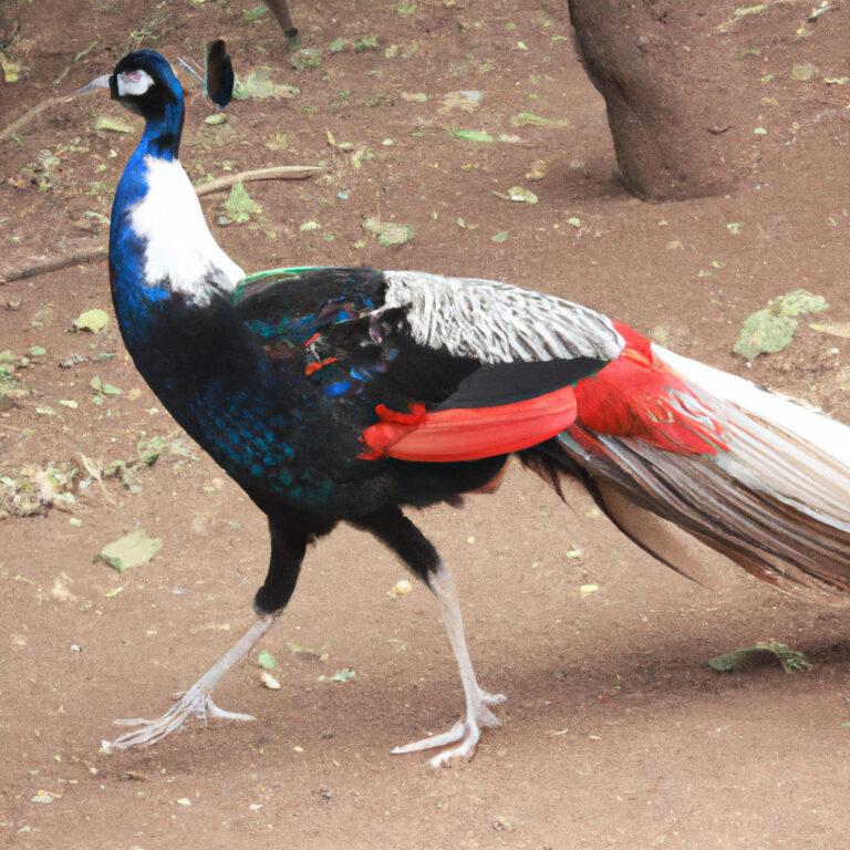 El simbolismo del faisán en la cultura de los animales de poder: descubre su significado y cómo nos guía en la vida