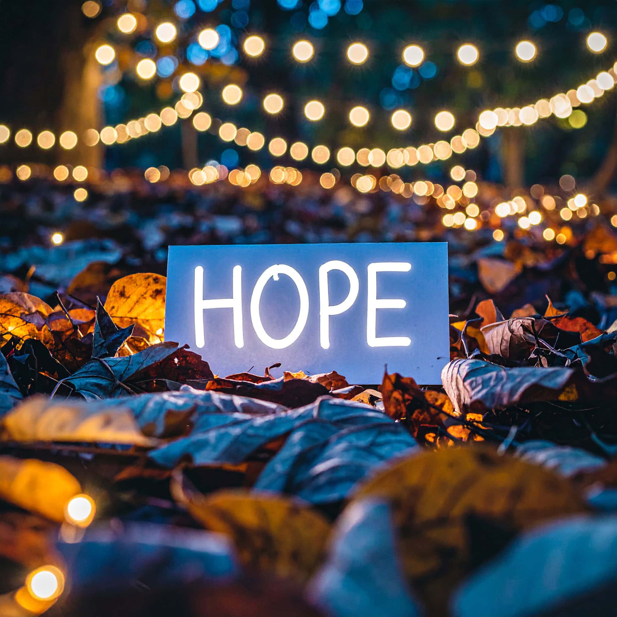 Que de aquí a diciembre nos pasen un montón de cosas bonitas 1 Que de aquí a diciembre nos pasen un montón de cosas bonitas | Soy Espiritual
