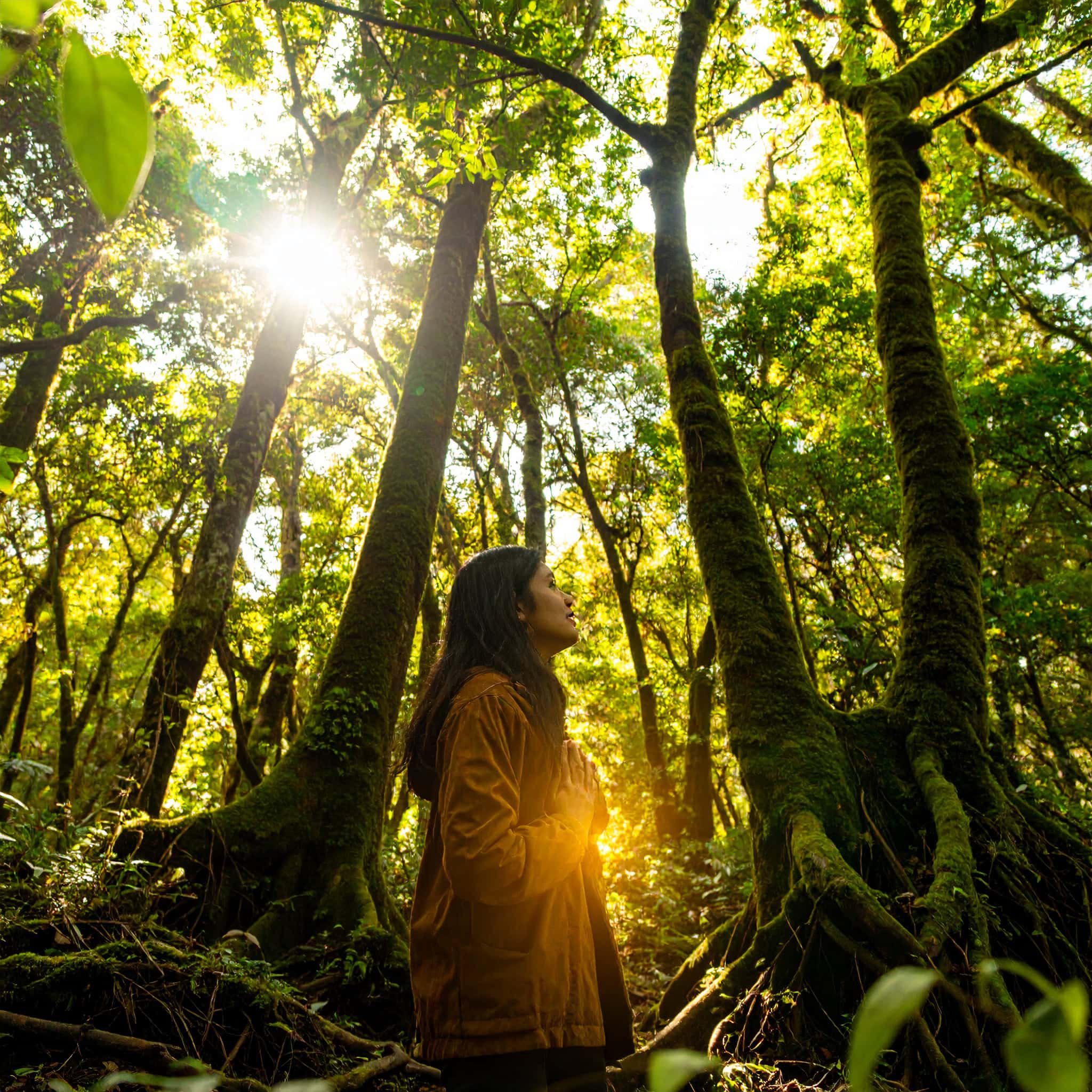 Las Raíces Espirituales de la Enfermedad Autoinmune 1 Las Raíces Espirituales de la Enfermedad Autoinmune | Soy Espiritual